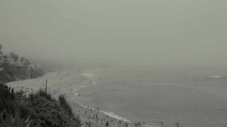 What Is The Link To Cricbet99?S Official Website?